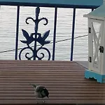 Panoramic Sea View Evmenia And Harbourside Sea Front Loutraki (Skopelos)